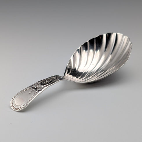 1800年 英国アンティーク ジョージアン 純銀製 ティーキャディースプーン